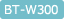 BT-W300