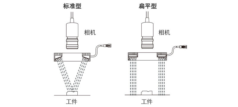 标准型 / 扁平型