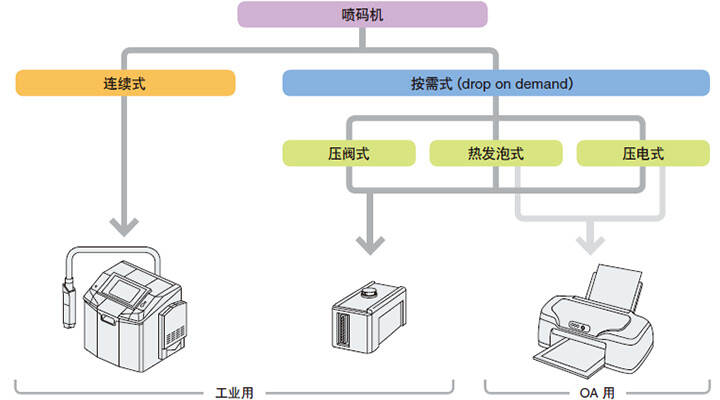 基本分类