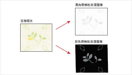 实物照片 > 黑白照相机处理图像 / 彩色照相机处理图像
