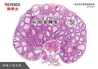 BZ-X 系列 不需要暗室的一体化荧光显微成像系统 应用案例集 Vol.5